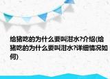 给猪吃的为什么要叫泔水?介绍(给猪吃的为什么要叫泔水?详细情况如何)