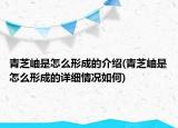 青芝岫是怎么形成的介绍(青芝岫是怎么形成的详细情况如何)