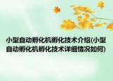 小型自动孵化机孵化技术介绍(小型自动孵化机孵化技术详细情况如何)