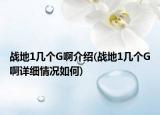 战地1几个G啊介绍(战地1几个G啊详细情况如何)