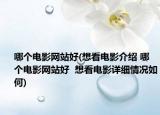 哪个电影网站好(想看电影介绍 哪个电影网站好  想看电影详细情况如何)