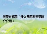 黄委在哪里（什么是国家黄委简介介绍）