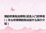 埙的吹奏指法教程(适合入门初学者)（怎么吹埙埙的指法是什么简介介绍）