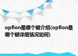 opfion是哪个键介绍(opfion是哪个键详细情况如何)