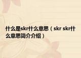 什么是skr什么意思（skr skr什么意思简介介绍）