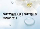 9012年是什么梗（9012是什么梗简介介绍）