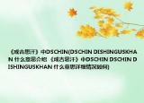 《成吉思汗》中DSCHIN(DSCHIN DISHINGUSKHAN 什么意思介绍 《成吉思汗》中DSCHIN DSCHIN DISHINGUSKHAN 什么意思详细情况如何)