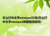 怎么打中文字minipad介绍(怎么打中文字minipad详细情况如何)
