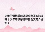 少年不识愁滋味还是少年不知愁滋味（少年不识愁滋味的含义简介介绍）