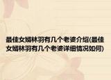 最佳女婿林羽有几个老婆介绍(最佳女婿林羽有几个老婆详细情况如何)