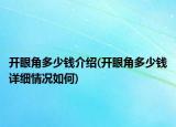 开眼角多少钱介绍(开眼角多少钱详细情况如何)