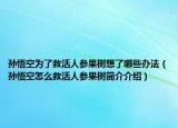 孙悟空为了救活人参果树想了哪些办法（孙悟空怎么救活人参果树简介介绍）
