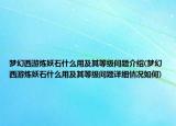 梦幻西游炼妖石什么用及其等级问题介绍(梦幻西游炼妖石什么用及其等级问题详细情况如何)