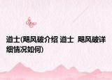 道士(飓风破介绍 道士  飓风破详细情况如何)