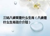 三姑八婆聚是什么生肖（八婆是什么生肖简介介绍）