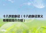 十八岁的象征（十八的象征意义有哪些简介介绍）