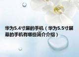 华为5.4寸屏的手机（华为5.5寸屏幕的手机有哪些简介介绍）