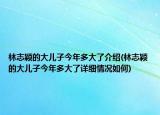 林志颖的大儿子今年多大了介绍(林志颖的大儿子今年多大了详细情况如何)