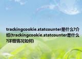 trackingcookie.statcounter是什么?介绍(trackingcookie.statcounter是什么?详细情况如何)
