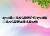 zyxel路由器怎么设置介绍(zyxel路由器怎么设置详细情况如何)