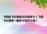 飞机的飞行速度大约是多少（飞机飞行速度一般多少简介介绍）