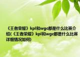 《王者荣耀》kpl和wgc都是什么比赛介绍(《王者荣耀》kpl和wgc都是什么比赛详细情况如何)