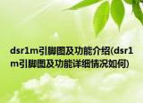dsr1m引脚图及功能介绍(dsr1m引脚图及功能详细情况如何)