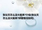 张议天怎么没火起来?介绍(张议天怎么没火起来?详细情况如何)