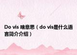 Do vis 啥意思（do vis是什么语言简介介绍）