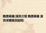 隋唐英雄(演员介绍 隋唐英雄 演员详细情况如何)