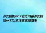 少女前线ak12公式介绍(少女前线ak12公式详细情况如何)