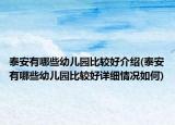 泰安有哪些幼儿园比较好介绍(泰安有哪些幼儿园比较好详细情况如何)