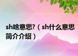 sh啥意思?（sh什么意思简介介绍）