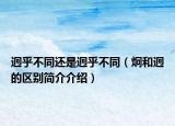 迥乎不同还是迥乎不同（炯和迥的区别简介介绍）