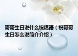 哥哥生日说什么祝福语（祝哥哥生日怎么说简介介绍）