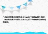 广州出发到下川岛要怎么坐车去出行攻略有哪些介绍(广州出发到下川岛要怎么坐车去出行攻略有哪些详细情况如何)