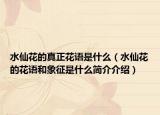 水仙花的真正花语是什么（水仙花的花语和象征是什么简介介绍）