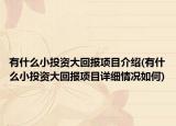 有什么小投资大回报项目介绍(有什么小投资大回报项目详细情况如何)