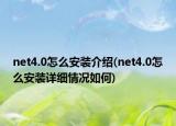 net4.0怎么安装介绍(net4.0怎么安装详细情况如何)
