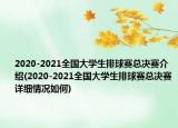 2020-2021全国大学生排球赛总决赛介绍(2020-2021全国大学生排球赛总决赛详细情况如何)