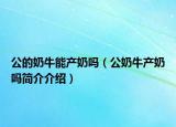 公的奶牛能产奶吗（公奶牛产奶吗简介介绍）