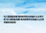勾三搭四配佳期(兔死狐悲并无异是什么生肖介绍 勾三搭四配佳期 兔死狐悲并无异是什么生肖详细情况如何)