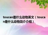 toucan是什么动物英文（toucan是什么动物简介介绍）