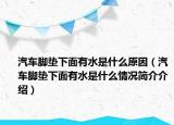 汽车脚垫下面有水是什么原因（汽车脚垫下面有水是什么情况简介介绍）