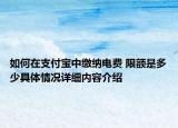 如何在支付宝中缴纳电费 限额是多少具体情况详细内容介绍