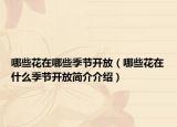 哪些花在哪些季节开放（哪些花在什么季节开放简介介绍）