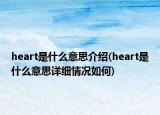 heart是什么意思介绍(heart是什么意思详细情况如何)