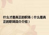 什么才是真正的职场（什么是真正的职场简介介绍）