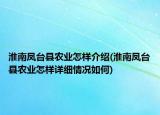 淮南凤台县农业怎样介绍(淮南凤台县农业怎样详细情况如何)