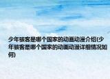 少年骇客是哪个国家的动画动漫介绍(少年骇客是哪个国家的动画动漫详细情况如何)